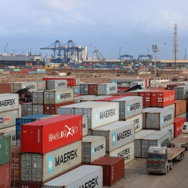 IMG_3797-1-scaled (2)